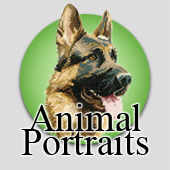 Cross stitch animal portraits