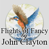 Flights Of Fancy - stunning cross stitch birds in flight by John Clayton