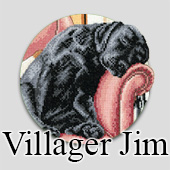 Counted cross stitch designs by Villager Jim