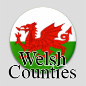 Counted cross stitch maps - Welsh Counties