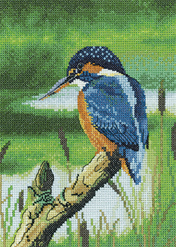 Cross stitch Kingfisher