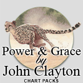 Power and Grace cross stitch charts by John Clayton