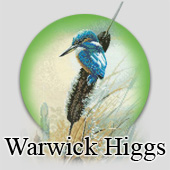 Warwick Higgs counted cross stitch designs